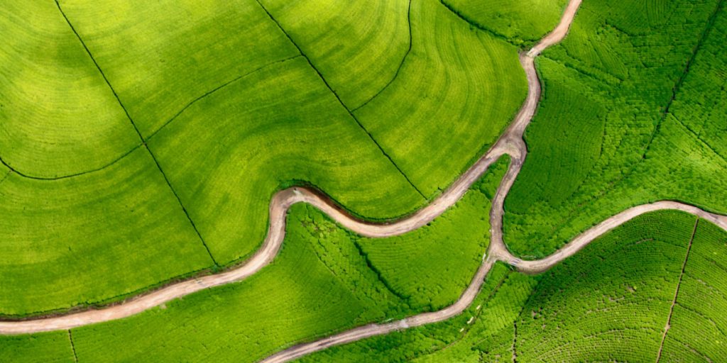 Services Services Header 1024x512